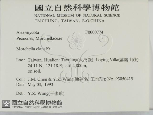 登錄號:F0000774藏品圖，第2張