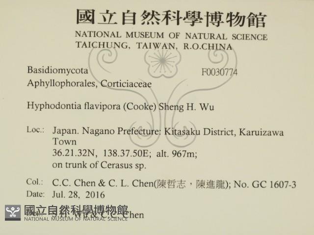登錄號:F0030774藏品圖，第2張