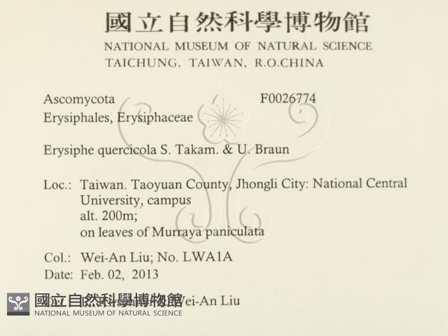 登錄號:F0026774藏品圖，第2張