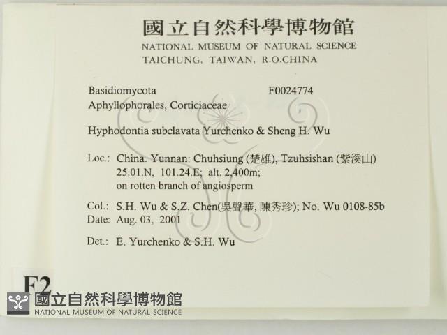 登錄號:F0024774藏品圖，第2張