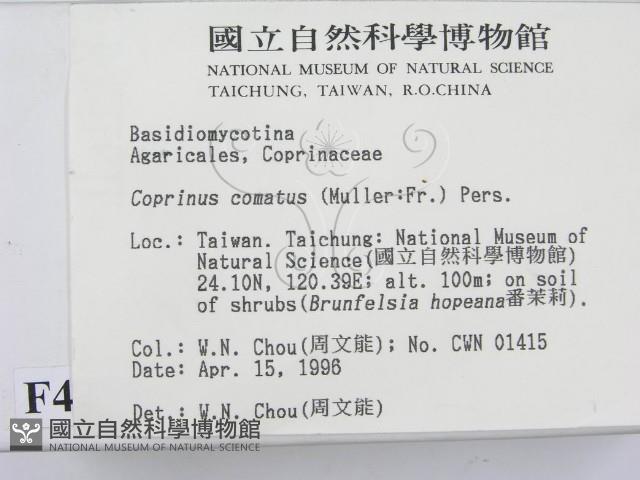 登錄號:F0004774藏品圖，第2張