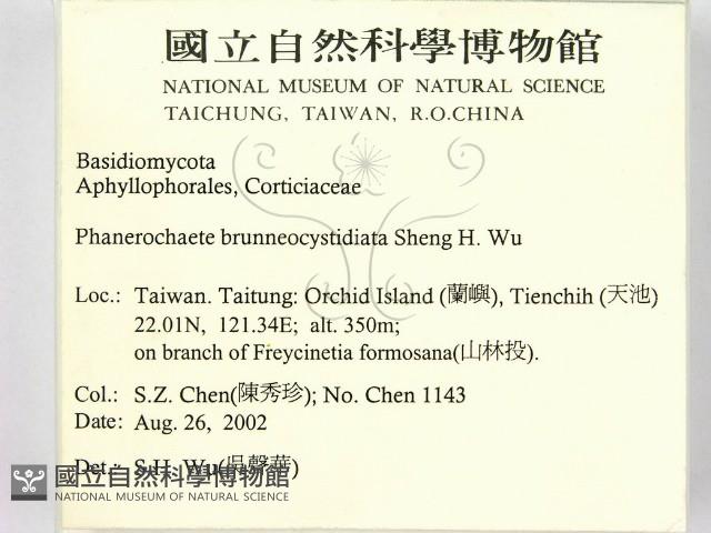 登錄號:F0014774藏品圖，第2張