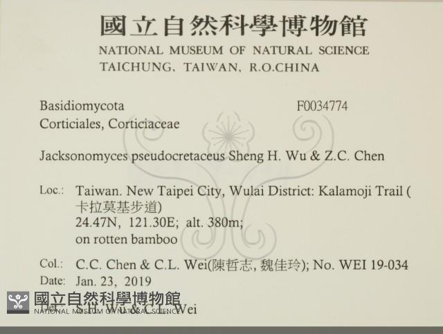 登錄號:F0034774藏品圖，第2張