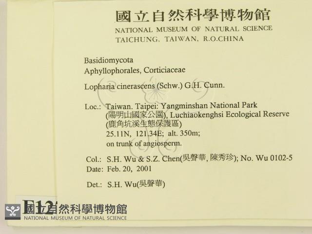 登錄號:F0012774藏品圖，第2張