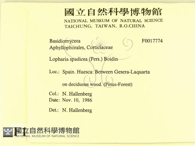 登錄號:F0017774藏品圖，第2張