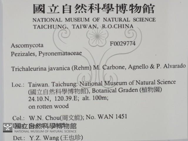 登錄號:F0029774藏品圖，第2張