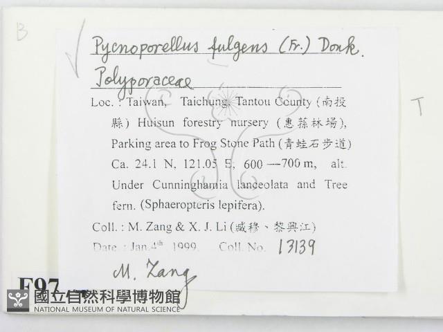 登錄號:F0009774藏品圖，第2張