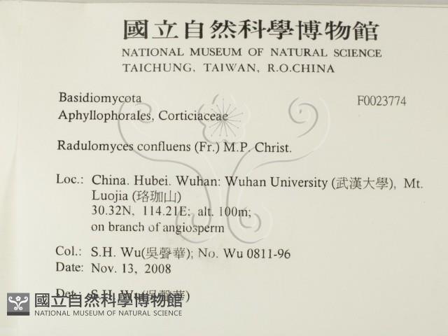 登錄號:F0023774藏品圖，第2張