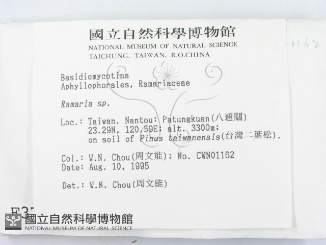 登錄號:F0003774藏品圖，第2張