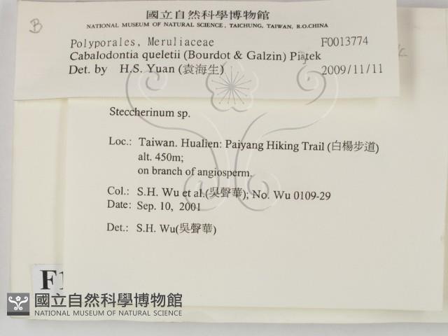 登錄號:F0013774藏品圖，第2張