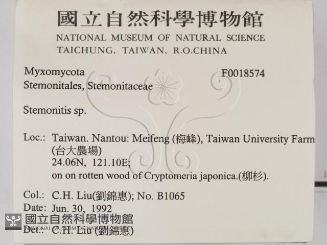 登錄號:F0018574藏品圖，第2張