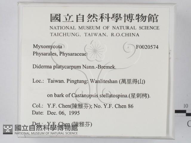 登錄號:F0020574藏品圖，第2張