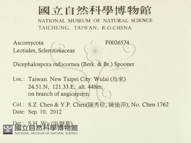 登錄號:F0026574藏品圖，第2張