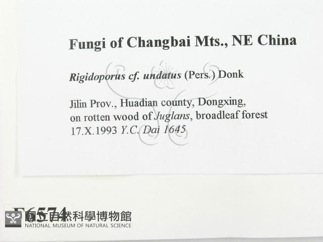 登錄號:F0006574藏品圖，第2張