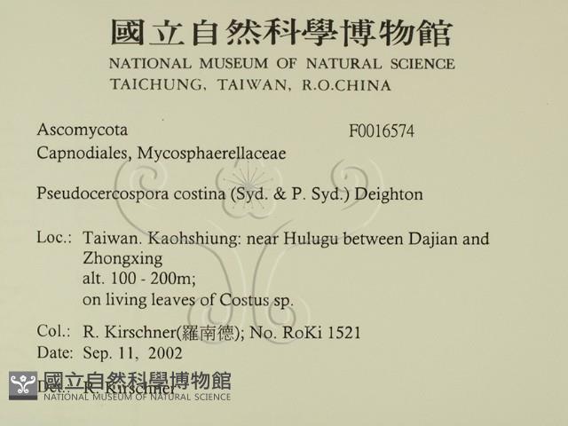 登錄號:F0016574藏品圖，第2張