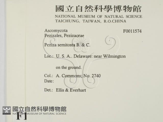 登錄號:F0011574藏品圖，第2張