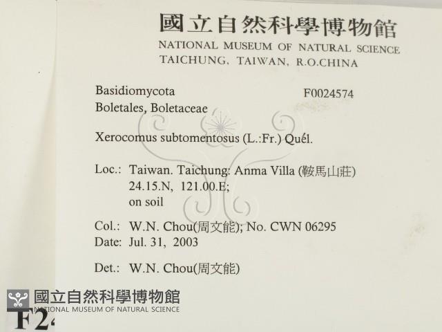 登錄號:F0024574藏品圖，第2張