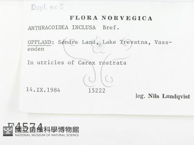 登錄號:F0004574藏品圖，第2張