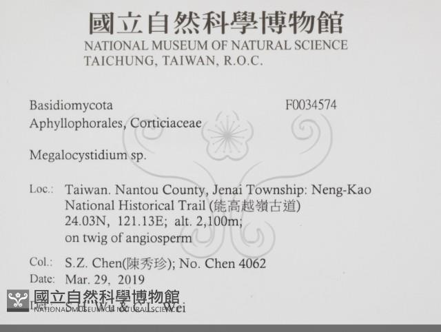 登錄號:F0034574藏品圖，第2張