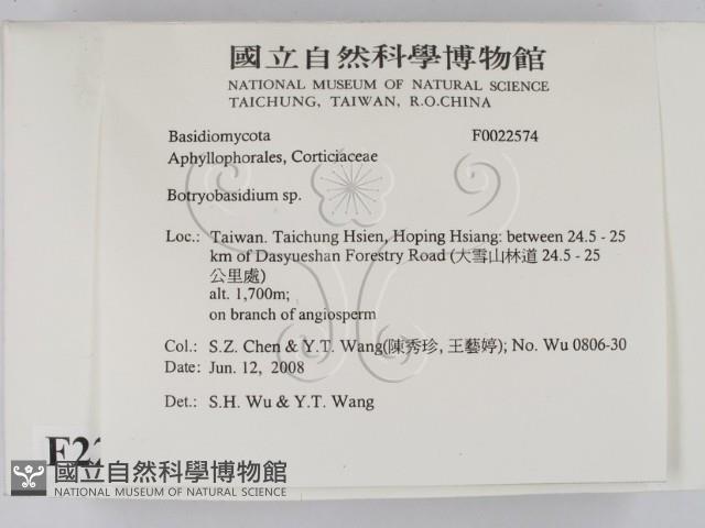 登錄號:F0022574藏品圖，第2張