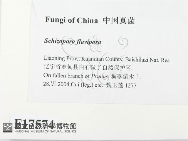 登錄號:F0017574藏品圖，第2張