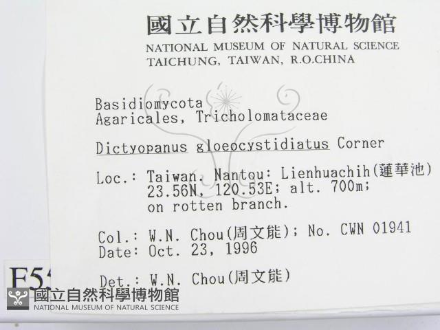 登錄號:F0005574藏品圖，第2張