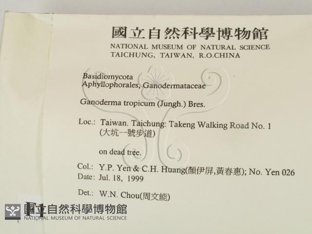 登錄號:F0015574藏品圖，第2張