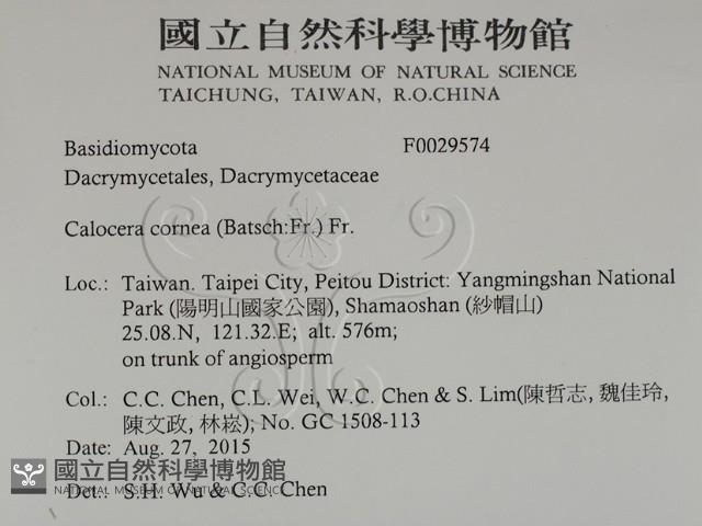 登錄號:F0029574藏品圖，第2張