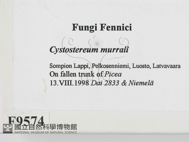 登錄號:F0009574藏品圖，第2張