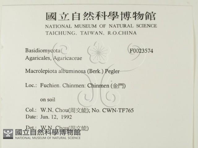 登錄號:F0023574藏品圖，第2張