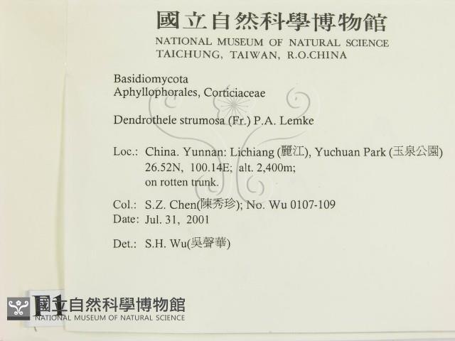 登錄號:F0013574藏品圖，第2張