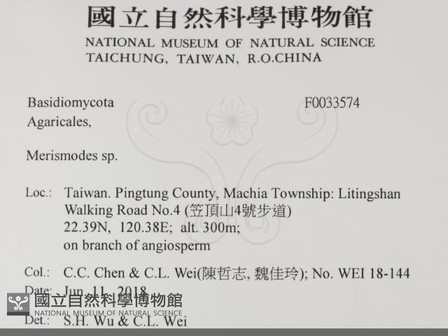 登錄號:F0033574藏品圖，第2張