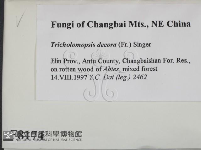 登錄號:F0008174藏品圖，第2張