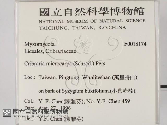 登錄號:F0018174藏品圖，第2張