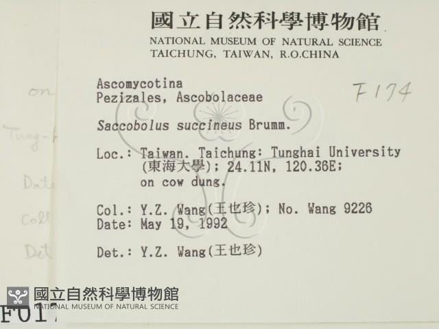 登錄號:F0000174藏品圖，第2張