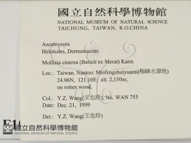 登錄號:F0010174藏品圖，第2張