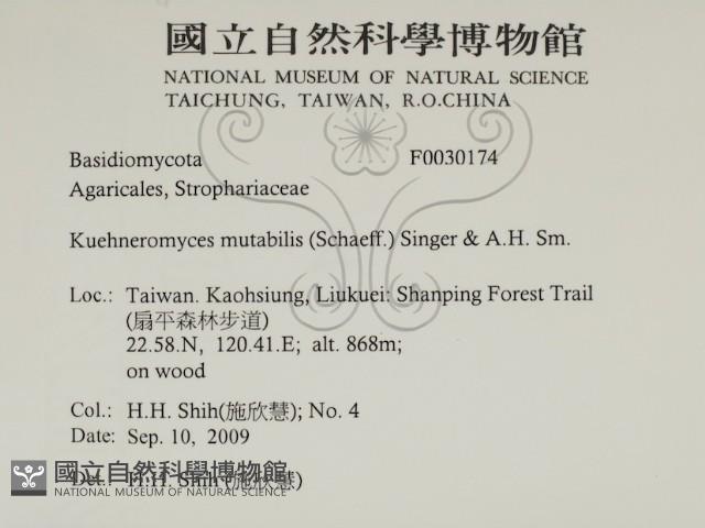 登錄號:F0030174藏品圖，第2張