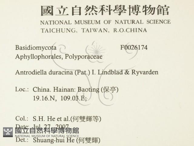 登錄號:F0026174藏品圖，第2張