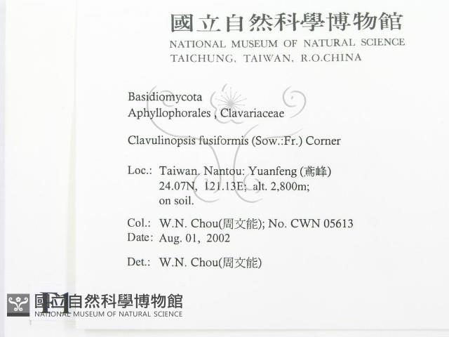 登錄號:F0016174藏品圖，第2張