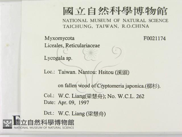 登錄號:F0021174藏品圖，第2張