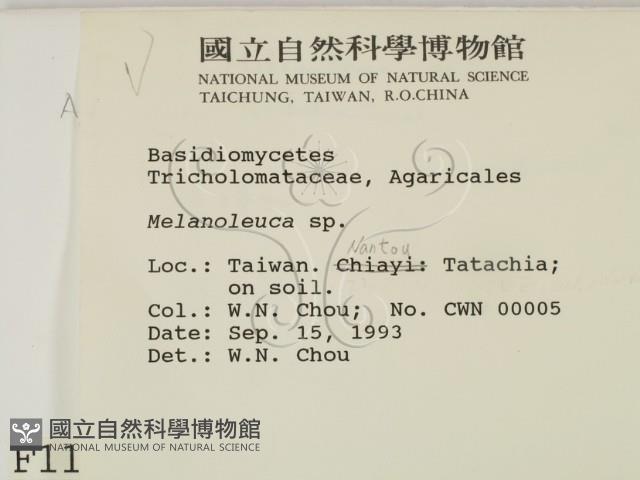 登錄號:F0001174藏品圖，第2張