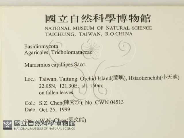 登錄號:F0014174藏品圖，第2張