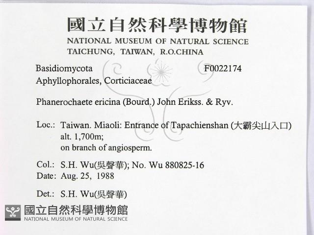 登錄號:F0022174藏品圖，第2張