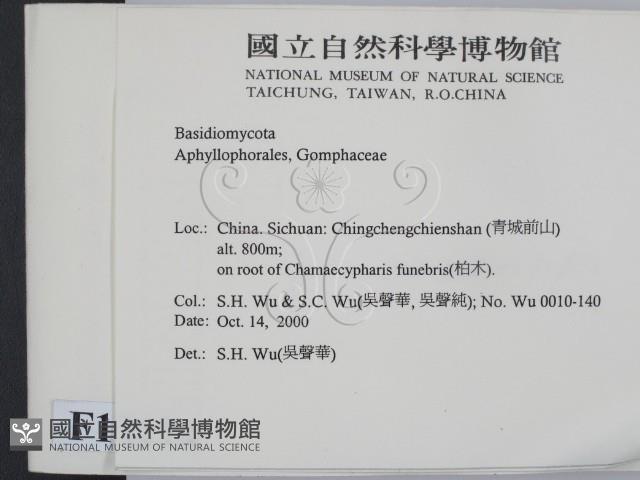 登錄號:F0012174藏品圖，第2張