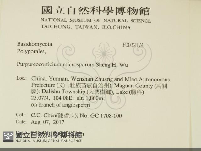 登錄號:F0032174藏品圖，第2張