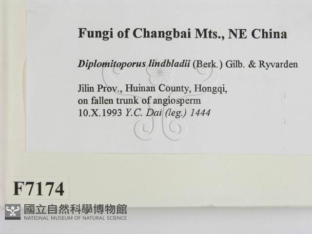 登錄號:F0007174藏品圖，第2張