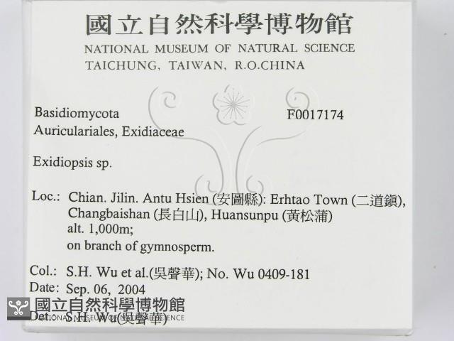 登錄號:F0017174藏品圖，第2張