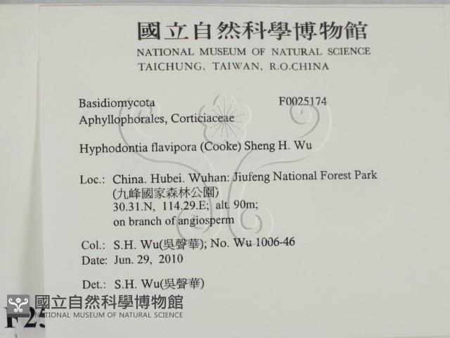 登錄號:F0025174藏品圖，第2張