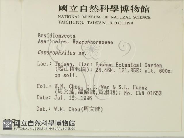 登錄號:F0005174藏品圖，第2張