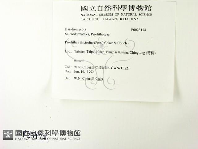 登錄號:F0023174藏品圖，第2張